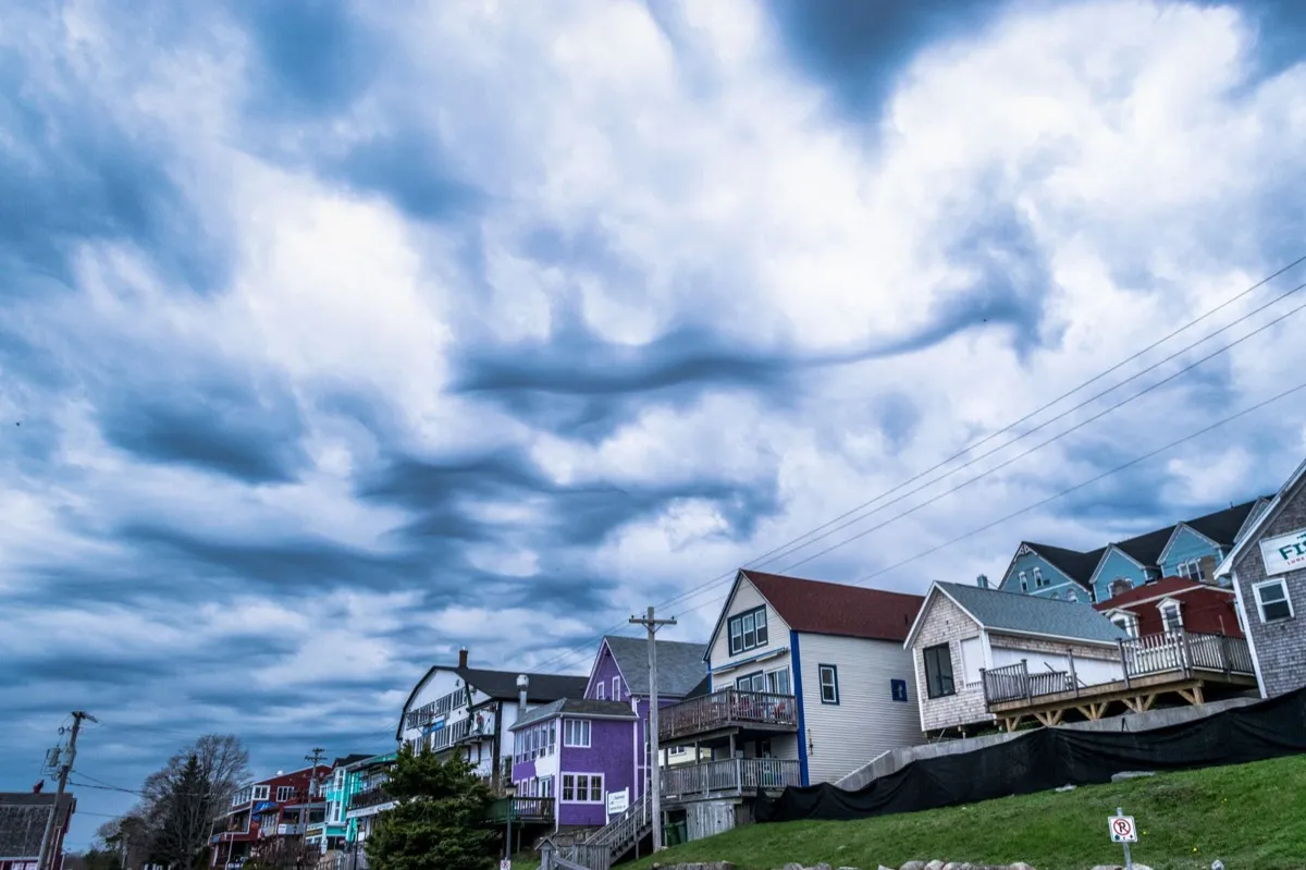 Storm Damage Repair in Concord, CA